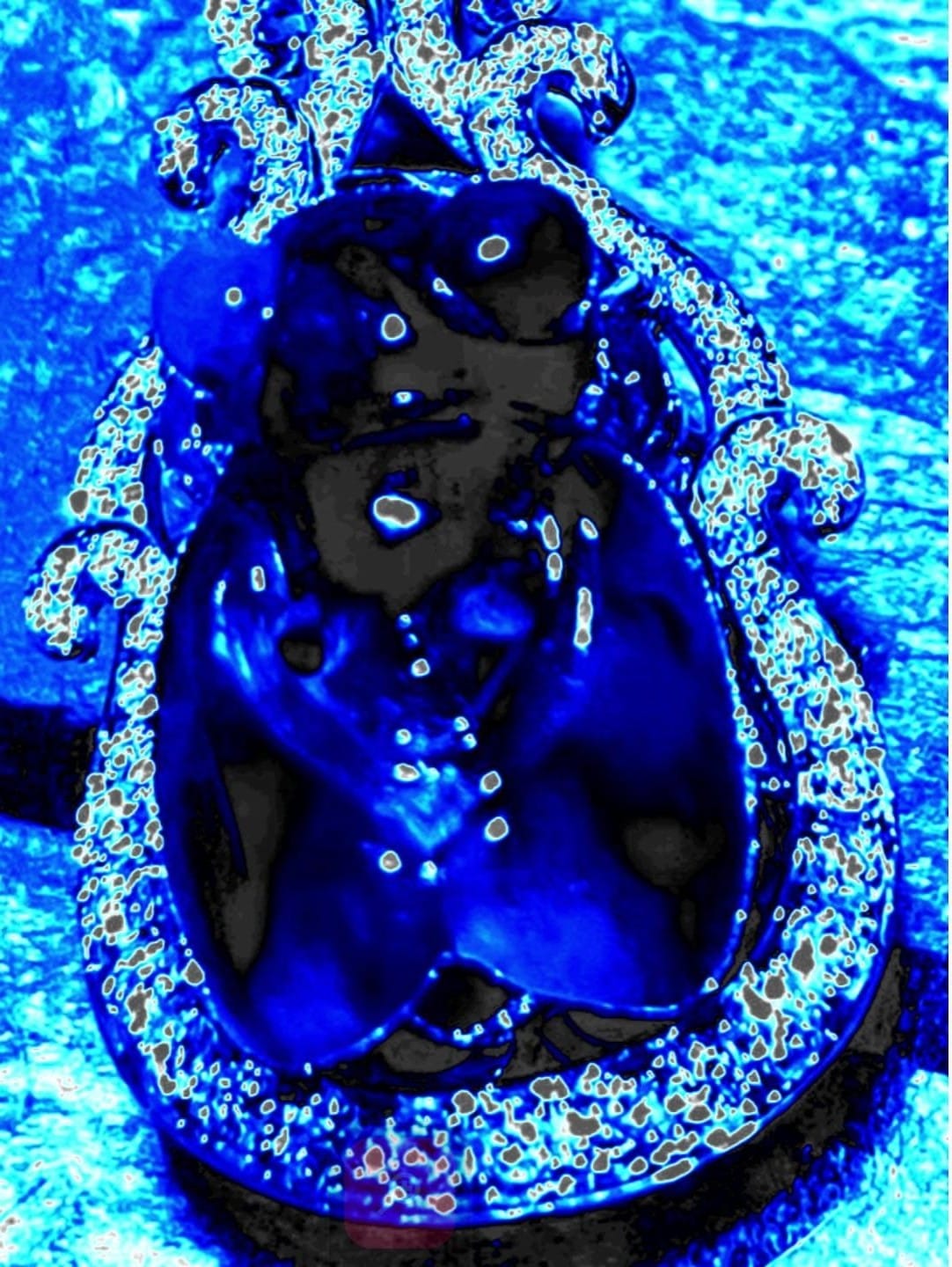 茶博士天然梅花鹿種翠祝福蟬（已售）